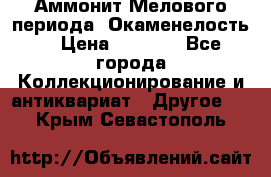 Аммонит Мелового периода. Окаменелость. › Цена ­ 2 800 - Все города Коллекционирование и антиквариат » Другое   . Крым,Севастополь